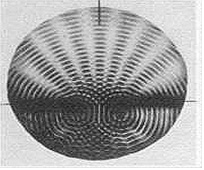 Interference patterns such as these need not be generated only by light. Hans Jenny has done some incredible research into the construction of coherent form using sound waves. His work can be found by doing a simple web search for "Cymatics"